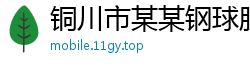 铜川市某某钢球股份业务部